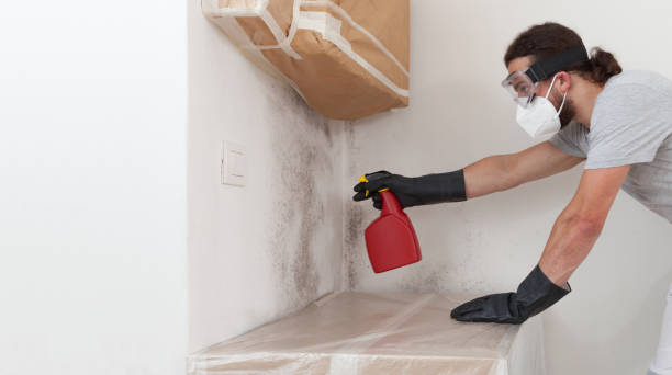 Professional Mold Testing technician working in Drake, CO
