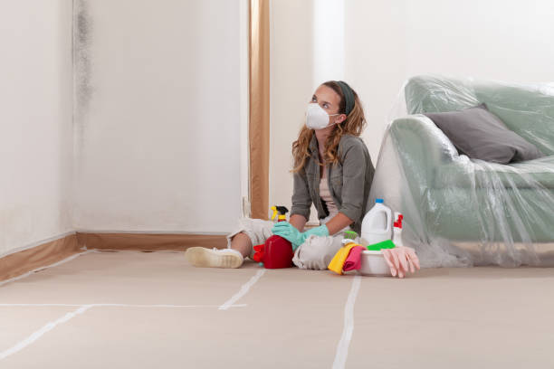 Reliable Mold Testing contractor in Drake, CO by WQB Mold Removal
